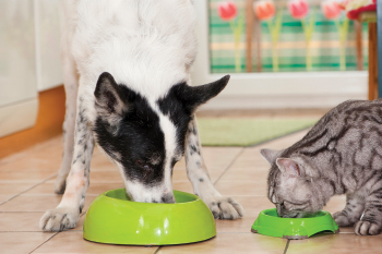 Espace Terrena - Pôle Élevage et Alimentation Animale - Animaux de compagnie