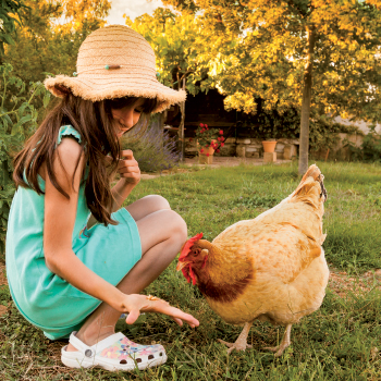 Espace Terrena - Espace Terrena - Pôle Élevage et Alimentation Animale - Volailles vivantes