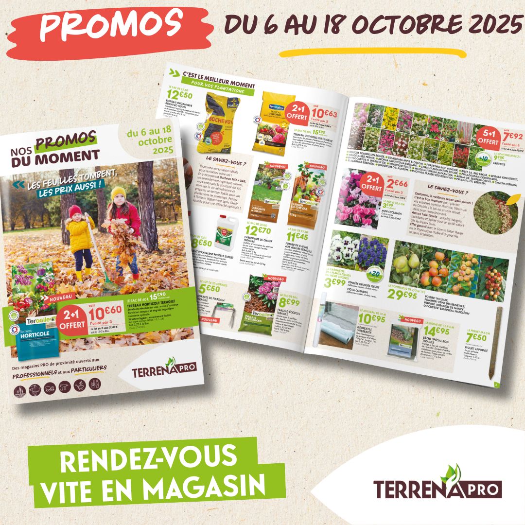 Lire la suite à propos de l’article Les feuilles tombent… et les PRIX AUSSI !