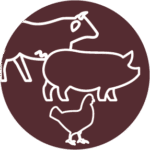 Espace Terrena - Nos Univers - Élever