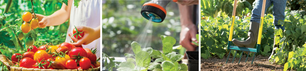 Terrena Pro - Pôle Cultiver / Jardiner