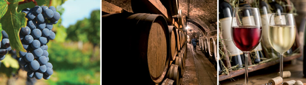 Terrena Pro - Illustration section Partager