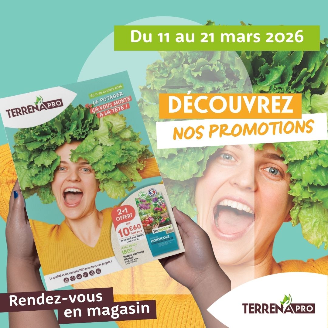 Lire la suite à propos de l’article Du 11 au 21 mars 2026 : Le printemps arrive… et vos projets jardin aussi !