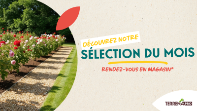 ACTU MY TERR TERCIEL - 4 PRODUITS DU MOIS (1)