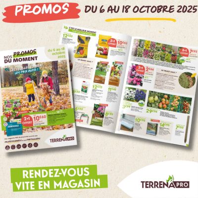 PUBLICATION SITE DAP AUTOMNEV2