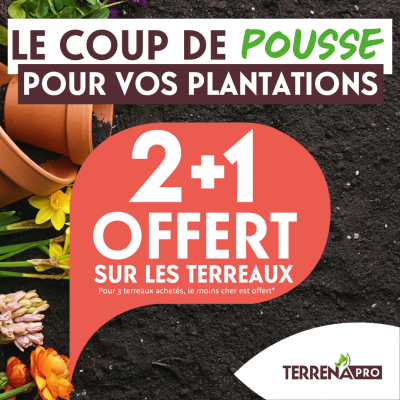 Site internet_2+1 OFFERT