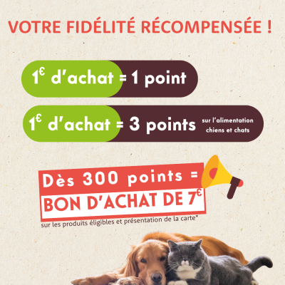 Site internet_POINTS FID (1)