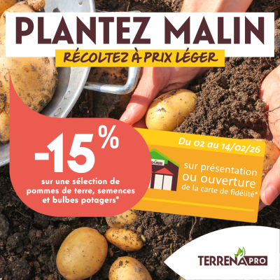 Site internet_POMMES DE TERRE