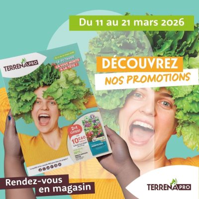 visuel site DAP PRINTEMPS du 11 au 21 mars 2026